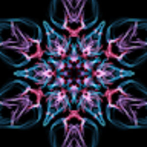 Meet your Posher, Ella